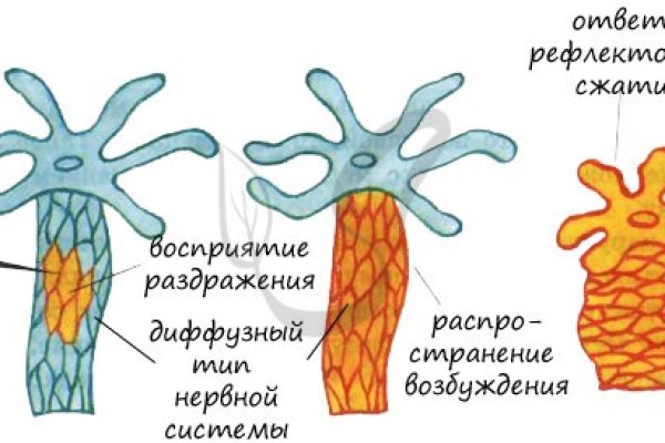 Кракен ссылка официальная