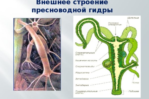 Сайт кракен онион