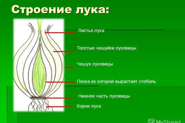 Спрут мега кракен