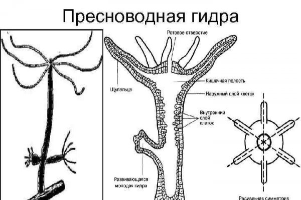 Кракен ссылка онлайн